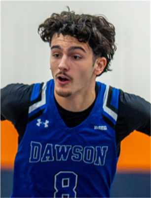 Driss Raimondo-Lahbabi