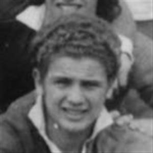 Roca Rivarola, Julio