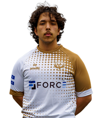 Tellioglu Ardizzon, Volkan